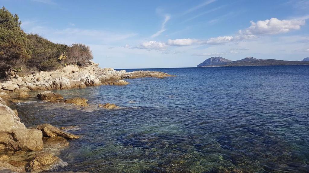 Appartamento A Porto Rotondo - Villaggio Punta Volpe - Iun S5393 Exterior foto