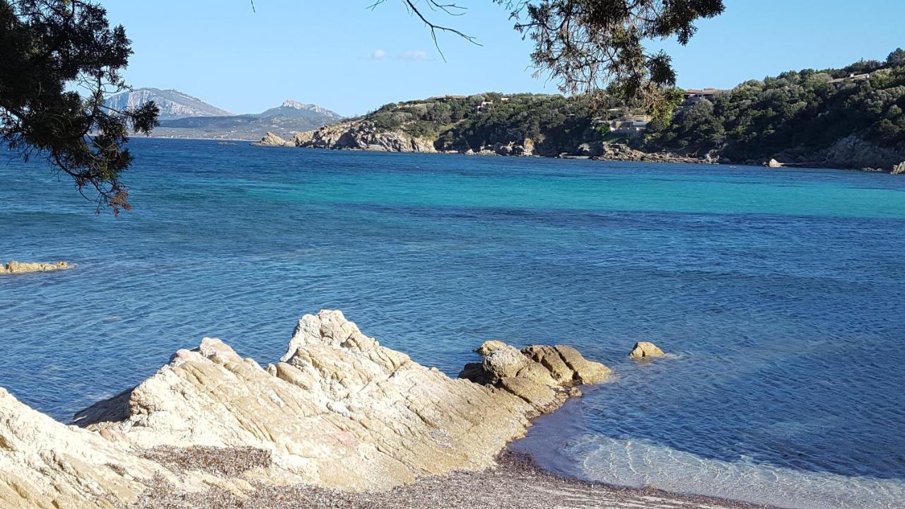 Appartamento A Porto Rotondo - Villaggio Punta Volpe - Iun S5393 Exterior foto